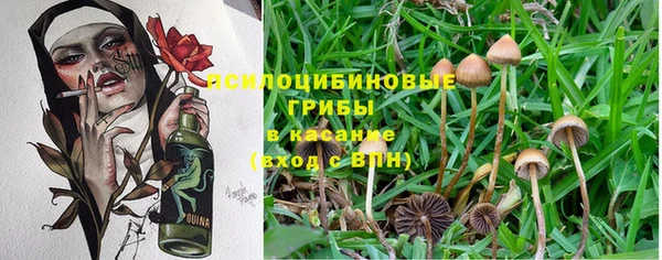 соль курить ск Щучье
