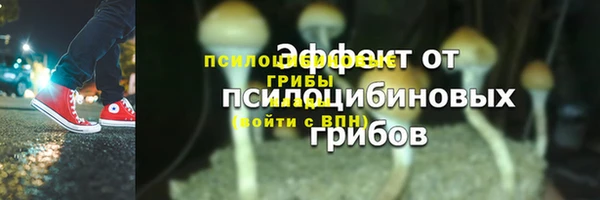 прущие крисы Инсар