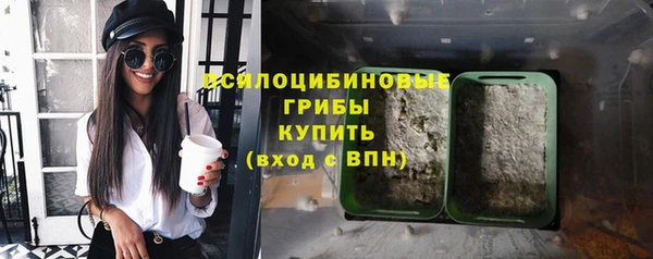 прущие крисы Инсар